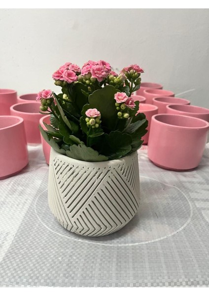 Elite Spiral Saksı 1 Adet