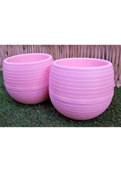 Elite Kaktüs Saksısı 1,3 Lt 2 Adet Pembe Elvan Saksı Sukulent Saksı Renkli Saksı Plastik Saksı Mini Saksı 1 Adet