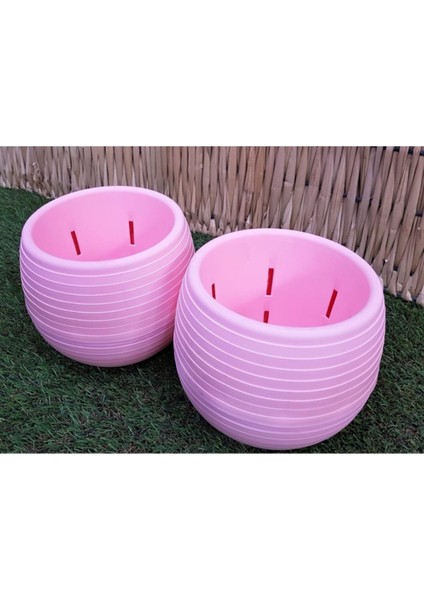 Elite Kaktüs Saksısı 1,3 Lt 2 Adet Pembe Elvan Saksı Sukulent Saksı Renkli Saksı Plastik Saksı Mini Saksı 1 Adet fiyatları