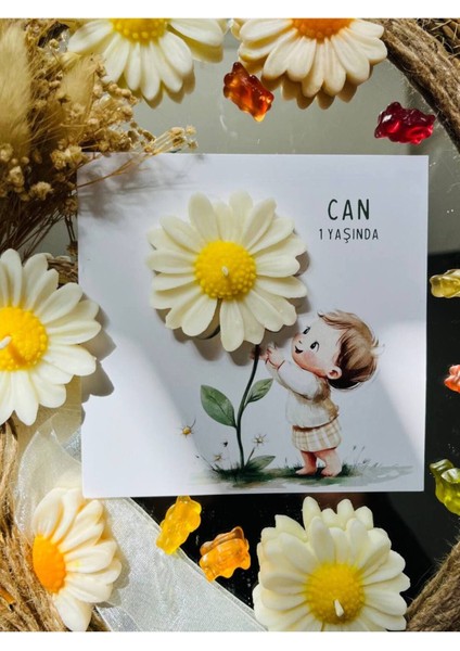 Elite 10 Adet Özel Tasarlanmış Kart ve Papatya Mum. Bebek Doğum, Babyshower, Doğum Günü, Hediyelik 1 Adet