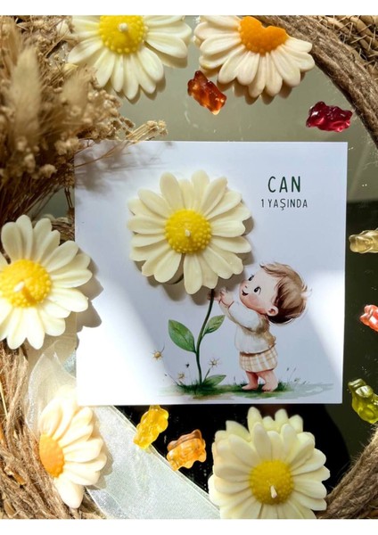 Elite 10 Adet Özel Tasarlanmış Kart ve Papatya Mum. Bebek Doğum, Babyshower, Doğum Günü, Hediyelik 1 Adet
