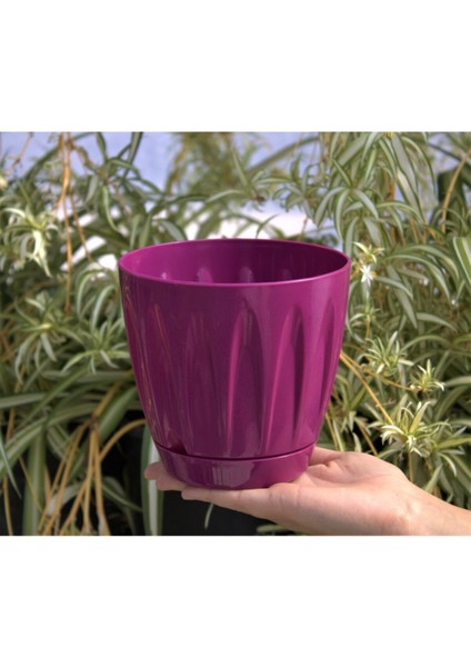 Elite Dekoratif Saksı 1.5 Lt 2 Adet Vişne Papatya Saksı Renkli Saksı Tabaklı Saksı Plastik Saksı 1 Adet fiyatları