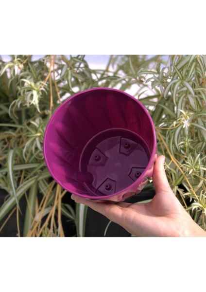 Elite Dekoratif Saksı 1.5 Lt 2 Adet Vişne Papatya Saksı Renkli Saksı Tabaklı Saksı Plastik Saksı 1 Adet modelleri