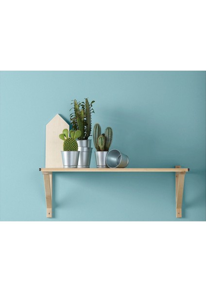 Elite Bıntje Saksı Ikea Çelik Saksı Galvanizli 9cm 2'li 1 Adet