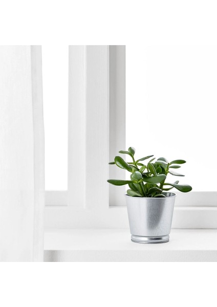 Elite Bıntje Saksı Ikea Çelik Saksı Galvanizli 9cm 2'li 1 Adet