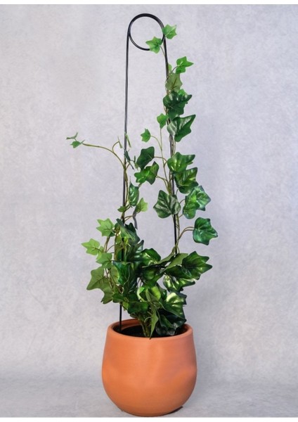 Elite Bitki Destek Çubuğu / Siyah Metal Kancalıiğne Model 65 cm / 1 Adet / Sarmaşık Merdiveni 1 Adet