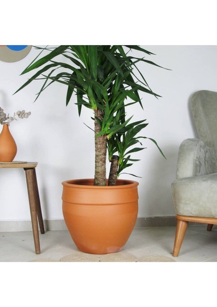 Elite Antik Model Çömlek Saksı Ham Toprak H:30CM-ÇAP:33CM 1 Adet