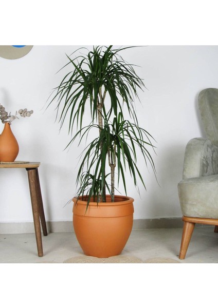 Elite Antik Model Çömlek Saksı Ham Toprak H:30CM-ÇAP:33CM 1 Adet