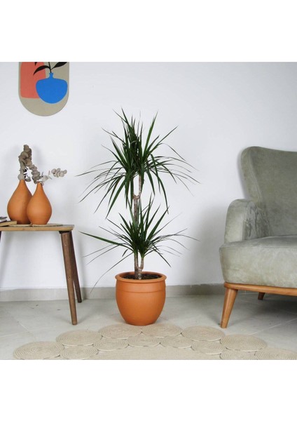Elite Antik Model Çömlek Saksı Ham Toprak H:30CM-ÇAP:33CM 1 Adet