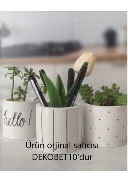Elite 3lü Hello Dekoratif Beton Kaktüs,sukulent Saksı Seti Yada Organizer 1 Adet