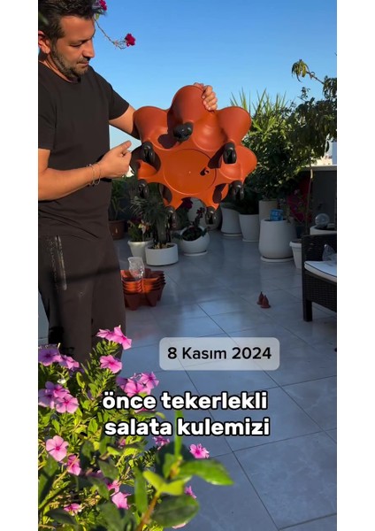 Elite Yediveren Sabit - Toprak Katlı Saksı 1 Adet
