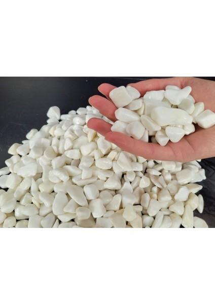 Elite Beyaz Çakıl Taşı 5 kg 1-2 cm Saksı Dibi Teraryum Saksı Süs Vazo Dibi Dekoratif Dolomit Taş 1 Adet modelleri