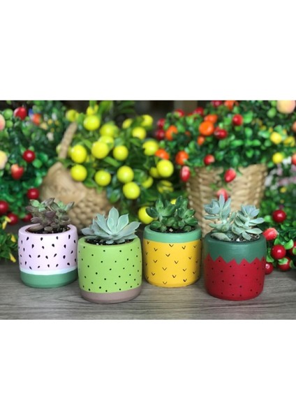 Elite 4'lü Sukulent ve Kaktüs Saksı Seti Tutti Frutti Meyveler 1 Adet