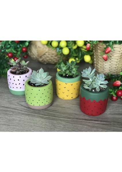 Elite 4'lü Sukulent ve Kaktüs Saksı Seti Tutti Frutti Meyveler 1 Adet