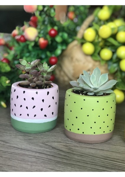 Elite 4'lü Sukulent ve Kaktüs Saksı Seti Tutti Frutti Meyveler 1 Adet