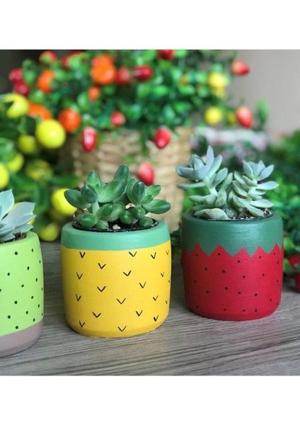 Elite 4'lü Sukulent ve Kaktüs Saksı Seti Tutti Frutti Meyveler 1 Adet