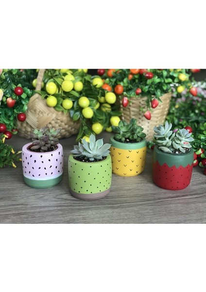 Elite 4'lü Sukulent ve Kaktüs Saksı Seti Tutti Frutti Meyveler 1 Adet
