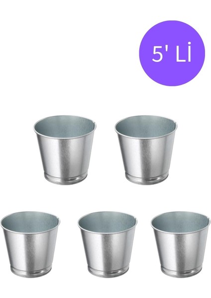 Elite 5'li Metal Saksı Paslanmaz Çelik Bitki Saksısı Kaktüs Saksı 9 No 1 Adet