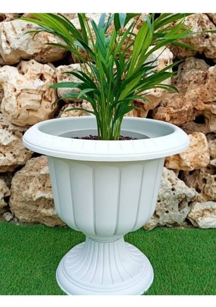 Elite Nergis Saksı No 2 1 Adet modelleri