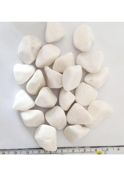 Elite Bahçe Saksı Beyaz Dekorasyon Taşı - Vernikli Tozsuz Parlak Dolomit Taşı 145 Ie 150 Adet 1-2 cm De 1 Adet