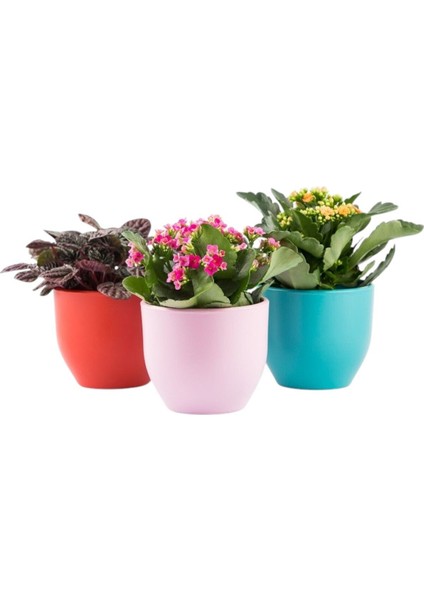 Elite 4 Adet Roma Toprak Saksı Deliksiz Tabaksız Çömlek 14X12 1000ML 1 Adet