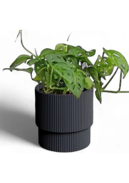 Elite Peronline Serinova Vega Saksı 33 Litre 1 Adet fırsatları