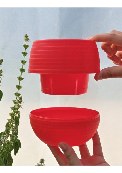 Elite Kaktüs & Sukulent Saksısı 0,55 Lt 5 Adet Kırmızı Elvan Saksı Renkli Saksı Mini Saksı Plastik Saksı 1 Adet
