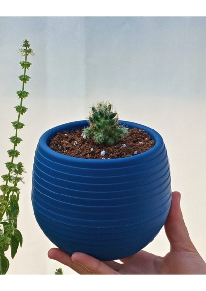 Elite Kaktüs & Sukulent Saksısı 0,55 Lt 5 Adet Kırmızı Elvan Saksı Renkli Saksı Mini Saksı Plastik Saksı 1 Adet fırsatları