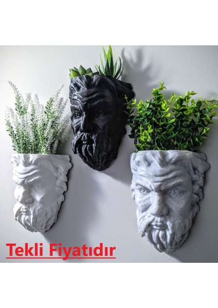 Elite Dekoratif Beyaz Renkli Zeus Duvar Saksısı 15CM 1 Adet