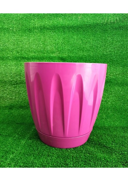 Elite Papatya Saksı 6 Litre 2 Adet Vişne Renk Bahçe Saksı Renkli Çiçek Saksısı Yuvarlak Çiçek Saksısı 1 Adet modelleri