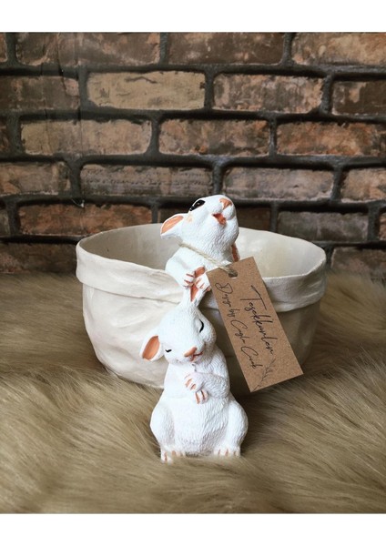 Elite Soft Tavşan Saksı Meyve Sepeti Tasarım Obje 1 Adet