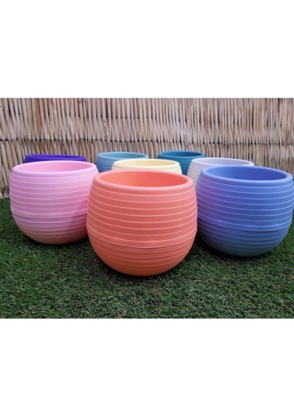 Elite Kaktüs Saksısı 1,3 Lt 3 Adet Yeşil Elvan Saksı Sukulent Saksı Renkli Saksı Plastik Saksı Mini Saksı 1 Adet