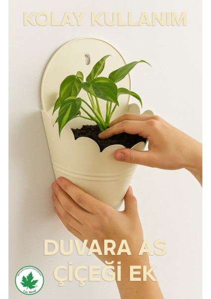 Elite Aster Lüx Metal Duvar Saksısı, Modern Pinterest Duvar Dekorasyonu, Duvar Çiçeklik, Askılı Saksı 1 Adet fırsatları