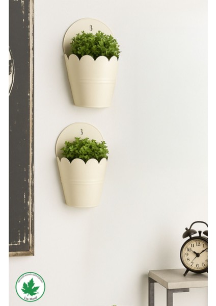 Elite Aster Lüx Metal Duvar Saksısı, Modern Pinterest Duvar Dekorasyonu, Duvar Çiçeklik, Askılı Saksı 1 Adet indirimleri
