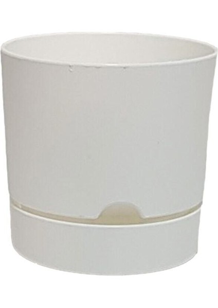 Elite 2 Adetbegonya 12 cm Tabaklı Saksı 1 Lt Beyaz 1 Adet