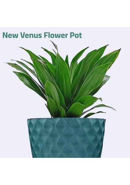 Elite Venüs Saksı 2,75 Lt (4 Adet Set) 1 Adet