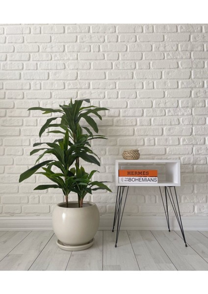 Elite 20LITRE Küre Saksı Tabaklı 27CMX27CM Ekru Renk 1 Adet