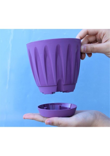 Elite Dekoratif Saksı 0.7 Lt 2 Adet Mor Papatya Saksı Renkli Saksı Tabaklı Saksı Plastik Saksı 1 Adet modelleri