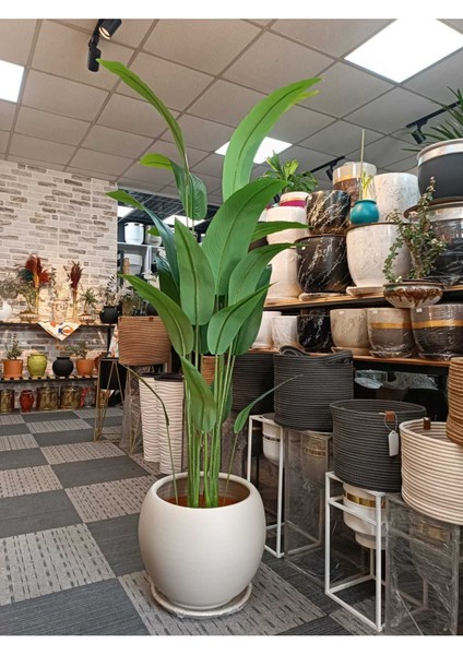 Elite Küre Model Çömlek Saksı Krem H:35CM-ÇAP:41CM 1 Adet
