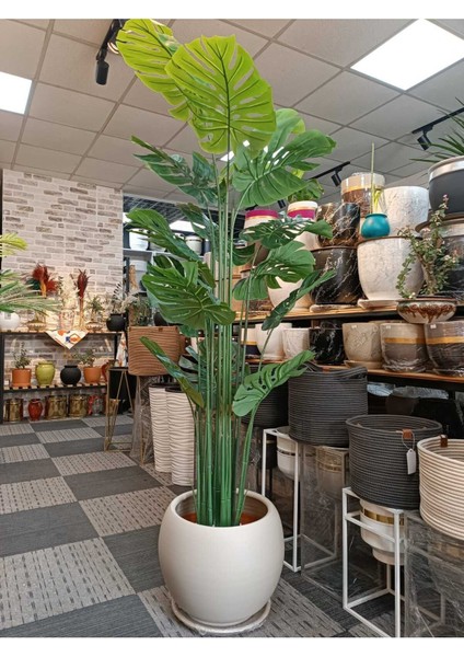 Elite Küre Model Çömlek Saksı Krem H:35CM-ÇAP:41CM 1 Adet