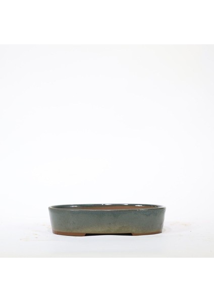 Elite Oval Bonsai Saksısı Japon No-11-Sırlı Su Yeşili (16 Cm) 1 Adet