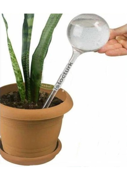 Elite 3 Adet Saksı Suluğu Çiçeklerinize Can Suyudur Çiçeklerin Ömrünü Uzatan Her Çiçeklere Otomatik Suluk 1 Adet