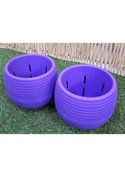 Elite Kaktüs Saksısı 1,3 Lt 3 Adet Mor Elvan Saksı Sukulent Saksı Renkli Saksı Plastik Saksı Mini Saksı 1 Adet