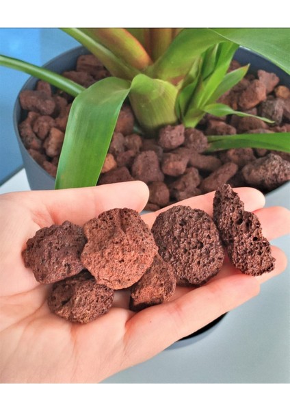 Elite Dekoratif Pomza Taşı 4 kg 10-20 mm Kırmızı Pomza Tarım Pomzası Bahçe Saksı Teraryum Taşı Ponza Taşı 1 Adet