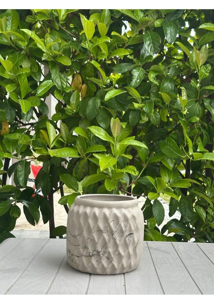 Elite Mermer Desenli Bitki Saksı Vazo Modern Tasarım 18 cm Yükseklik 16CM Çap (1 Adet) 1 Adet modelleri