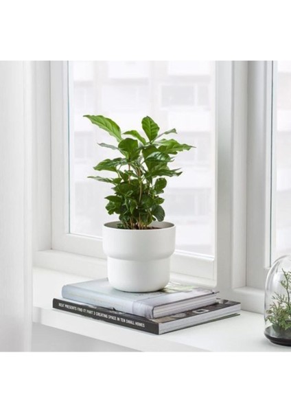 Elite Förenlıg 12 cm Dekoratif Beyaz Saksı 1 Adet