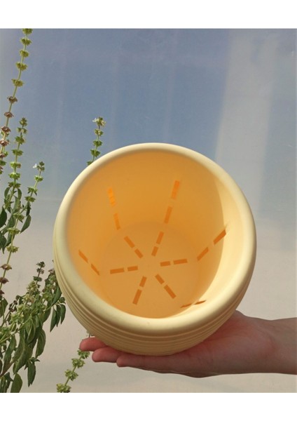 Elite Kaktüs & Sukulent Saksısı 1.3 Lt 3 Adet Sarı Elvan Saksı Renkli Saksı Mini Saksı Plastik Saksı 1 Adet modelleri