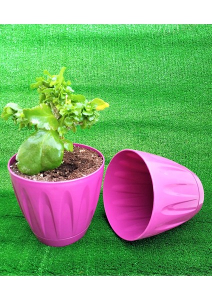 Elite Papatya Saksı 3 Litre 1 Adet Vişne Renk Çiçek Saksısı Bahçe Saksı Renkli Çiçek Saksısı 1 Adet modelleri