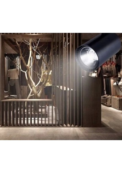 Cata Ct 5310 LED Ray Spot 15W 6400K Beyaz Işık fiyatları