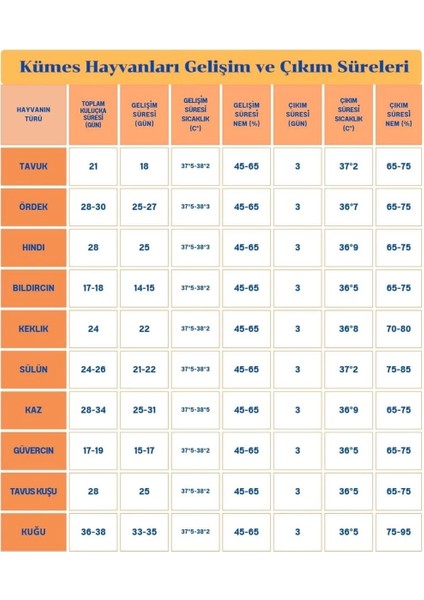 60 Yumurta Kapasiteli Tam Otomatik Kuluçka Makinesi - Civciv, Kaz, Hindi ve Ördek Yetiştiriciliği EPO-W60 fırsatları